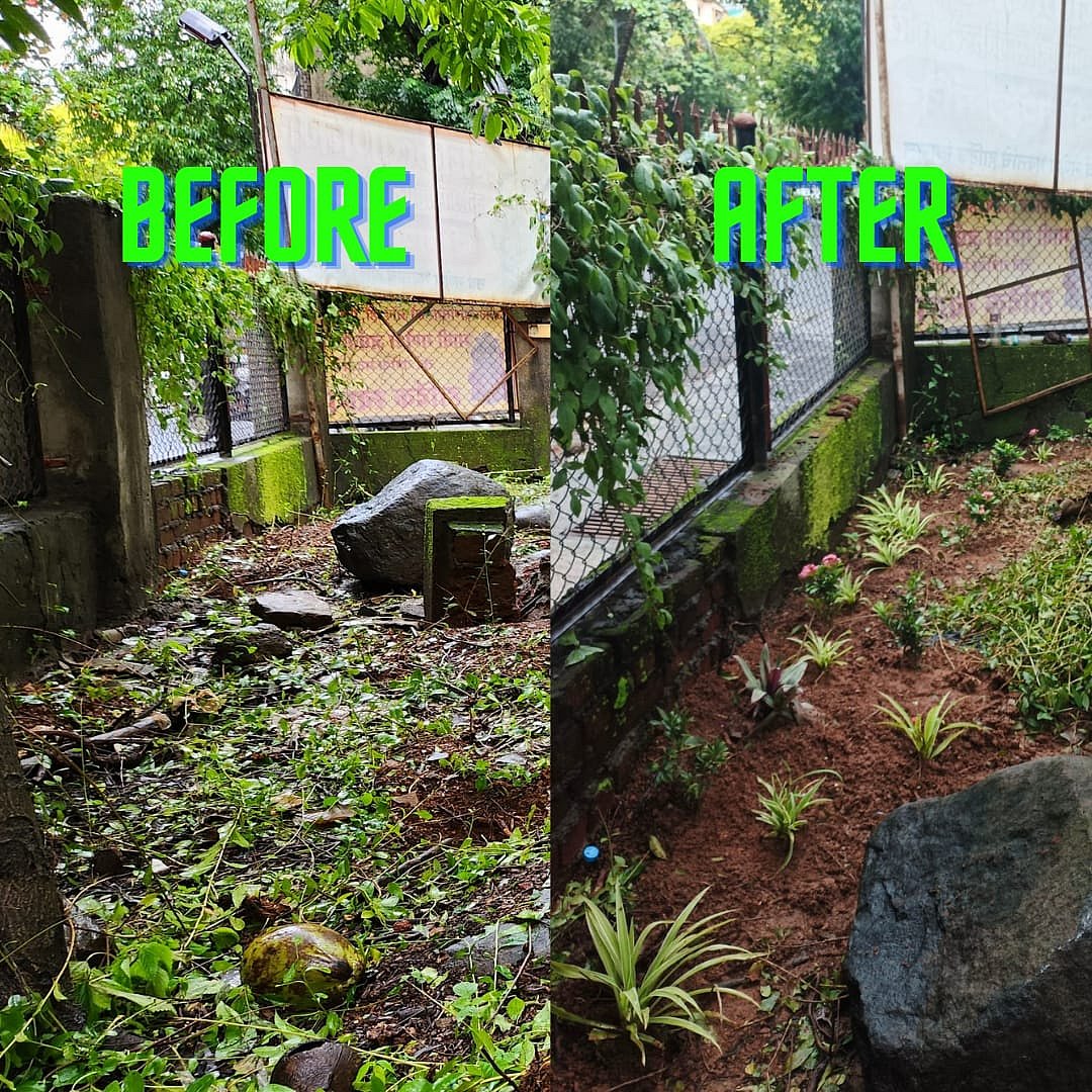 The before and after image  neglected half acre garden in Malad